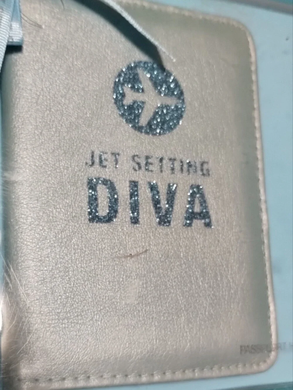 Travel Wallet & Luggage Tag Set - Light Blue
